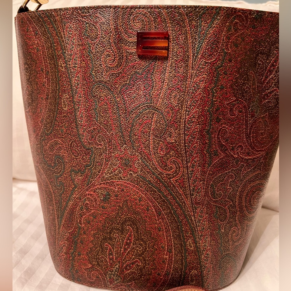 ETRO BAG very rare. Tortoise shell lucite handle, outside pristine w/no scuffs. - Picture 3 of 14